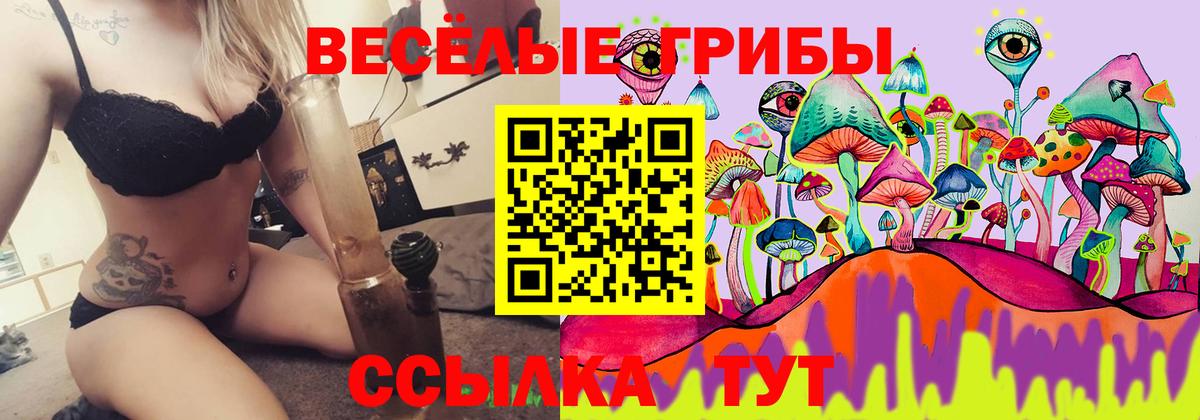 Псилоцибиновые грибы MAGIC MUSHROOMS Фрязино