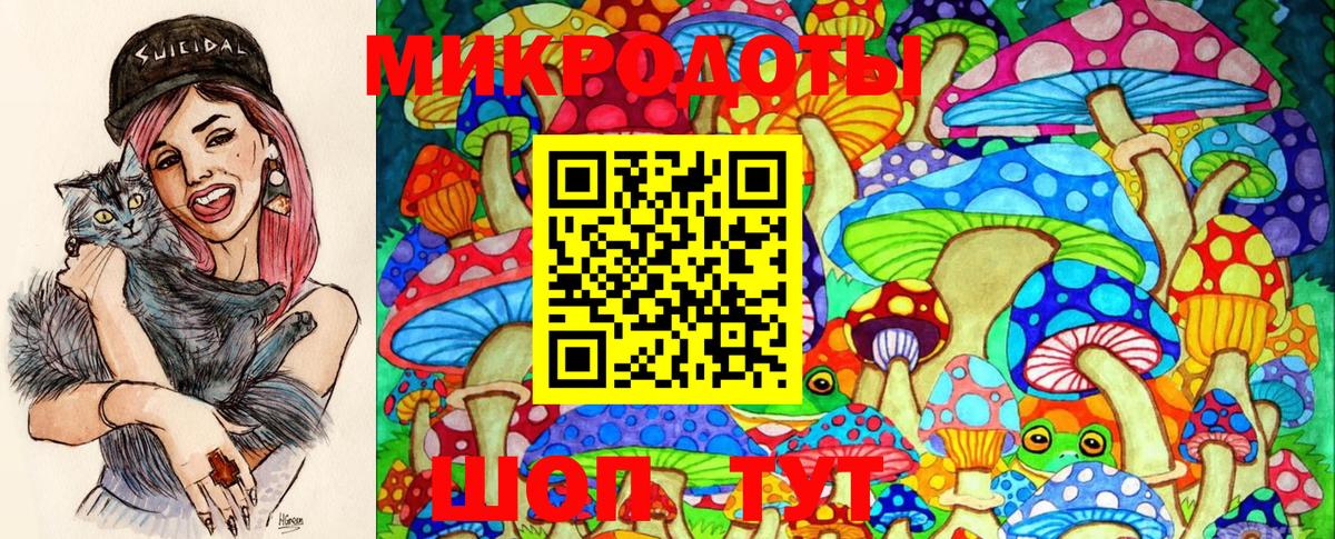 Псилоцибиновые грибы GOLDEN TEACHER  Вход с VPN  Фрязино 
